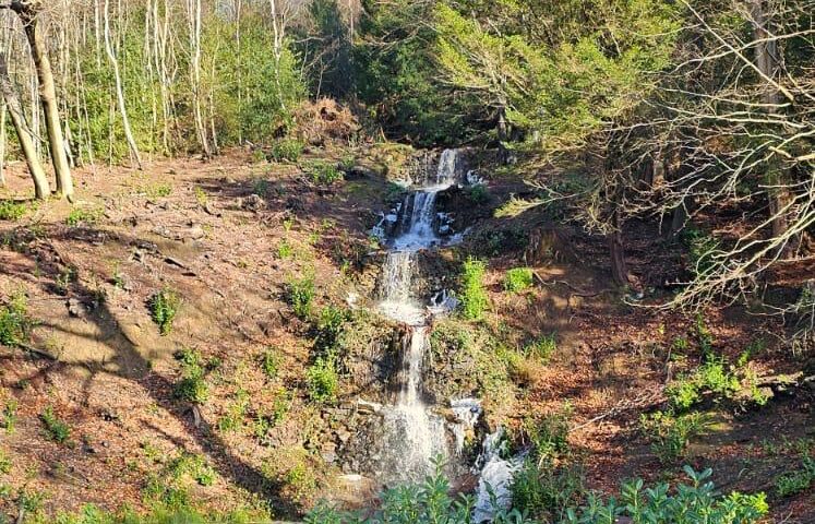 Tillingbourne waterfall restoration Wotton Estate