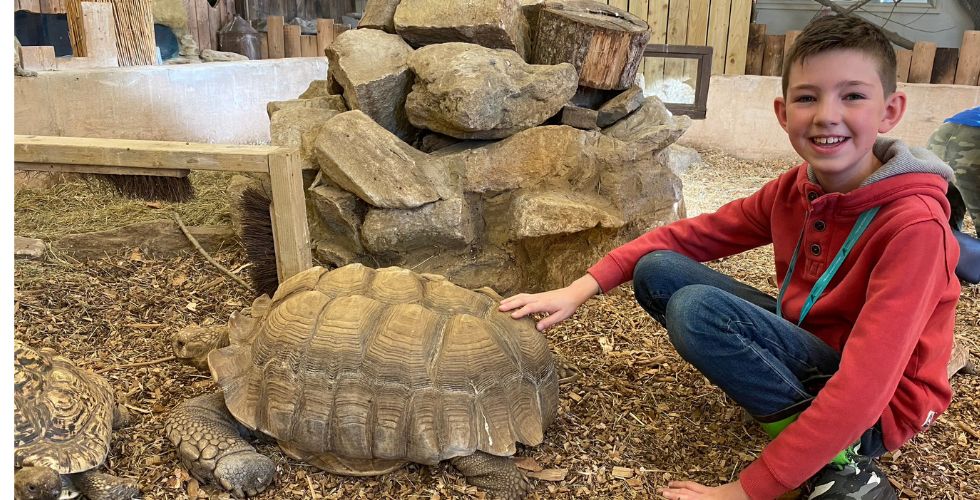 Junior Animal Keeper Experience