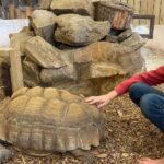 Junior Animal Keeper Experience