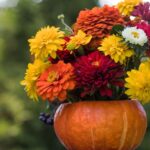 Halloween Gourd-geous Blooms: Evening Workshop