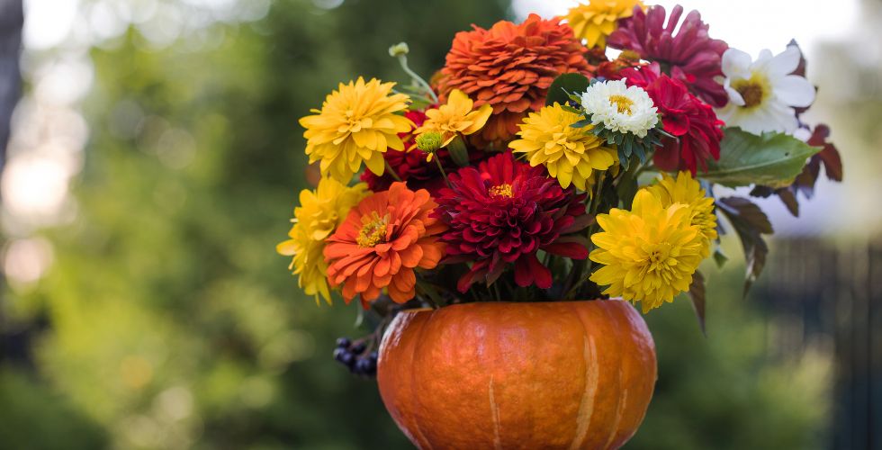 Halloween Gourd-geous Blooms: Evening Workshop
