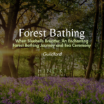 When Bluebells Breathe: An Enchanting Forest Bathing Journey