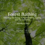Unfurling Into Spring: A Forest Bathing Journey