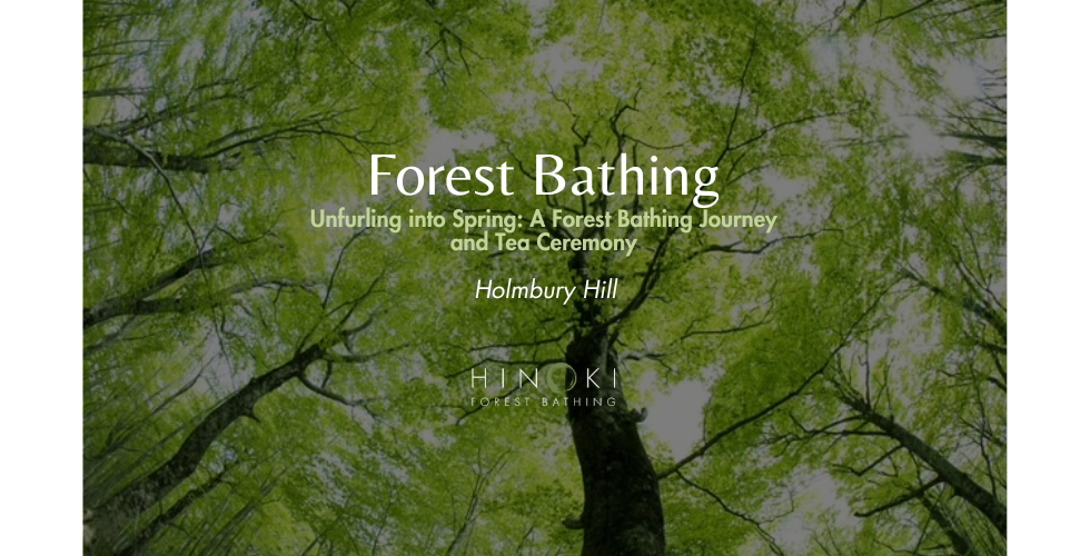 Unfurling Into Spring: A Forest Bathing Journey