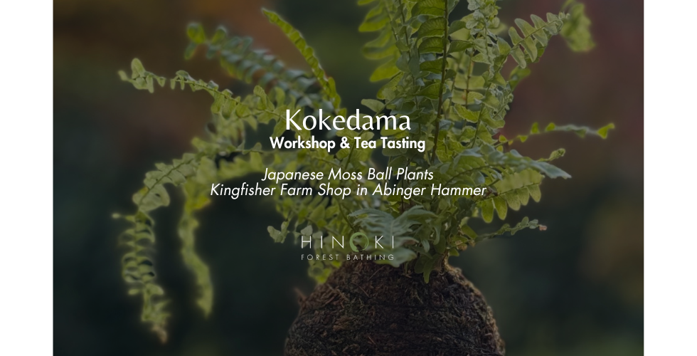 Kokedama Workshop & Japanese Tea Tasting