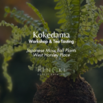 Kokedama Workshop & Japanese Tea Tasting
