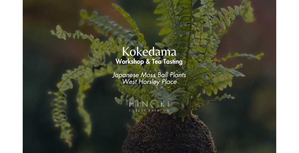 Kokedama Workshop & Japanese Tea Tasting