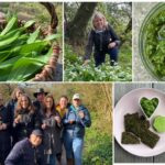 Spring Wild Garlic & Greens Forage with wild food tasters - Bramley, Surrey