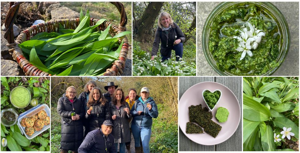 Spring Wild Garlic & Greens Forage with wild food tasters - Bramley, Surrey