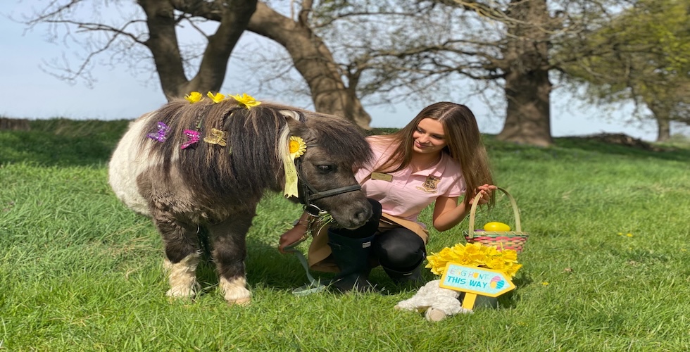 Mini Easter Egg Hunts