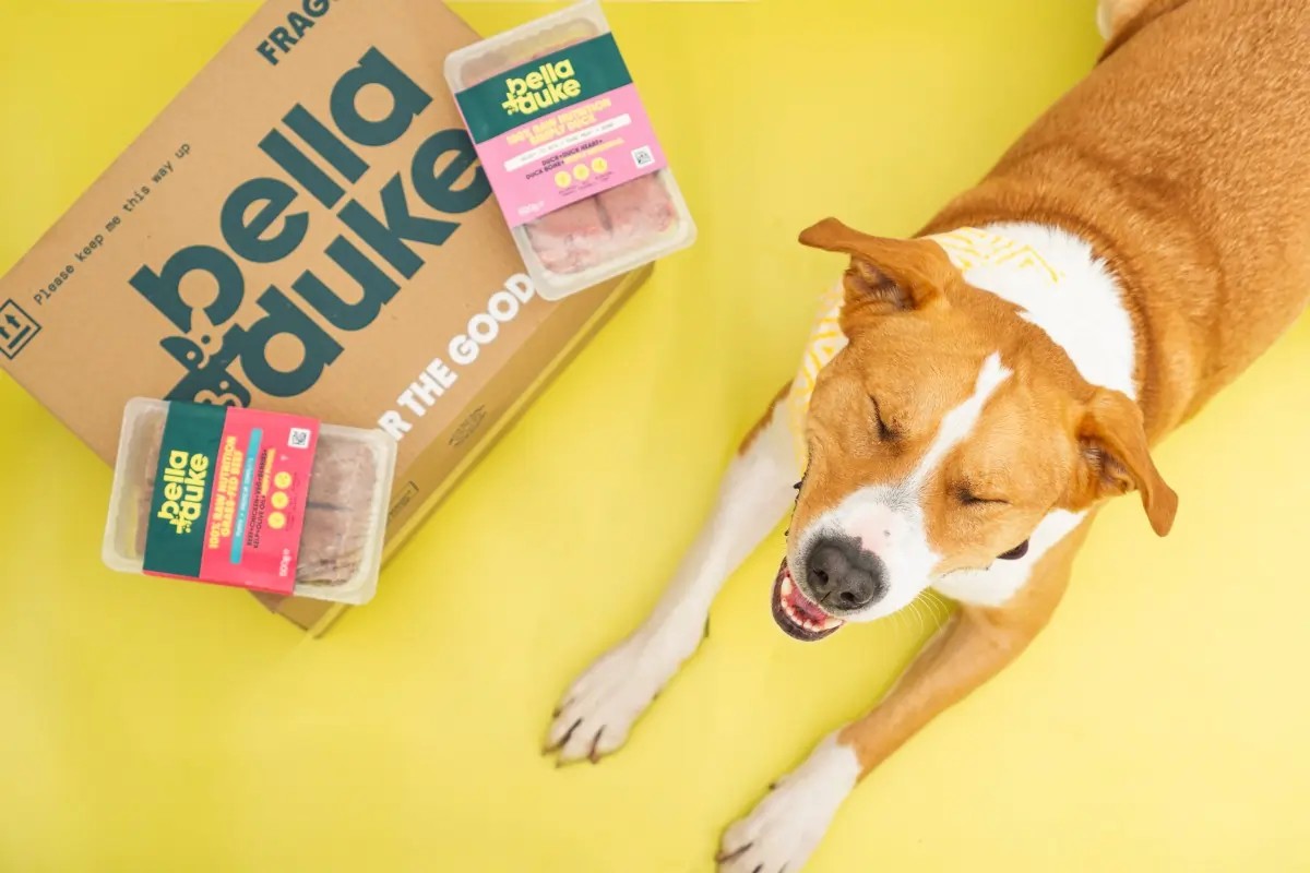 Read more about Bella & Duke