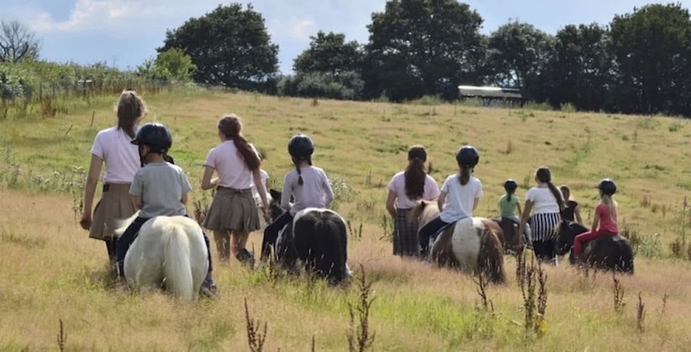 Shetland Pony Camps