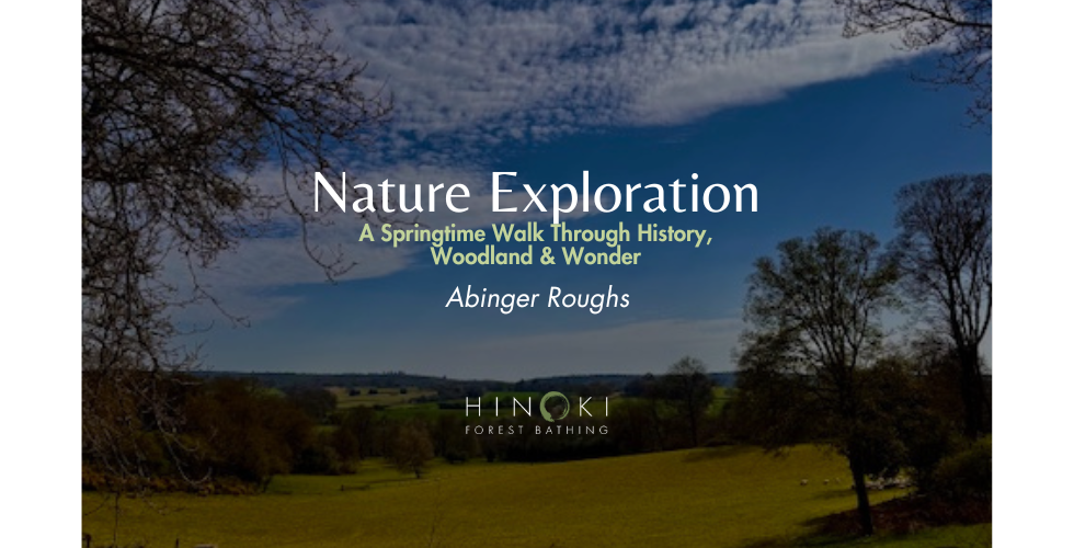 A Springtime Walk through History, Woodland, and Wonder