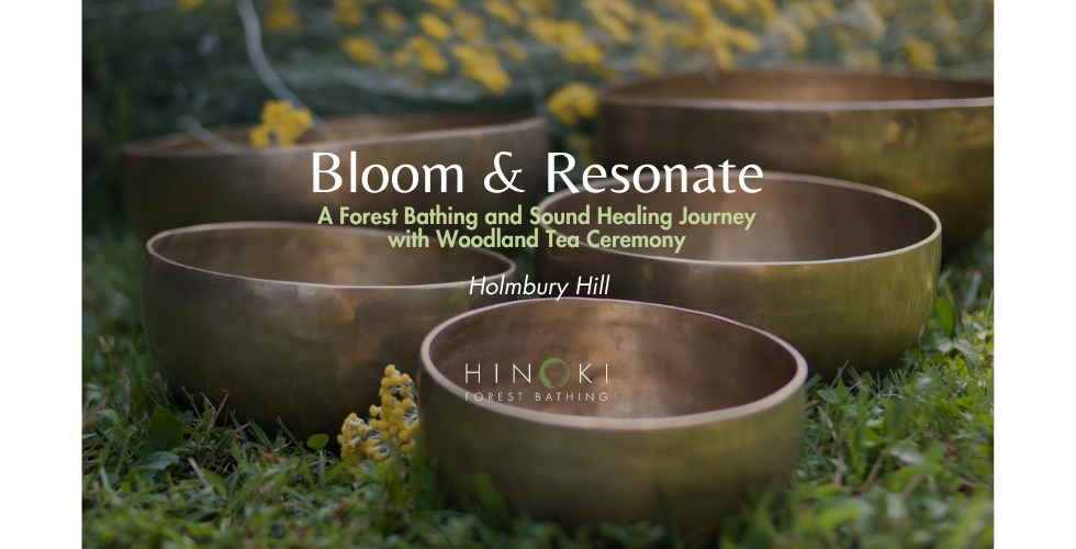 Bloom & Resonate: A Forest Bathing and Sound Healing Journey