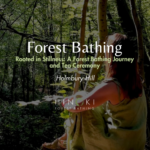Rooted in Stillness: A Forest Bathing Journey