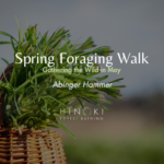 Spring Foraging Walk: Gathering the Wild in May