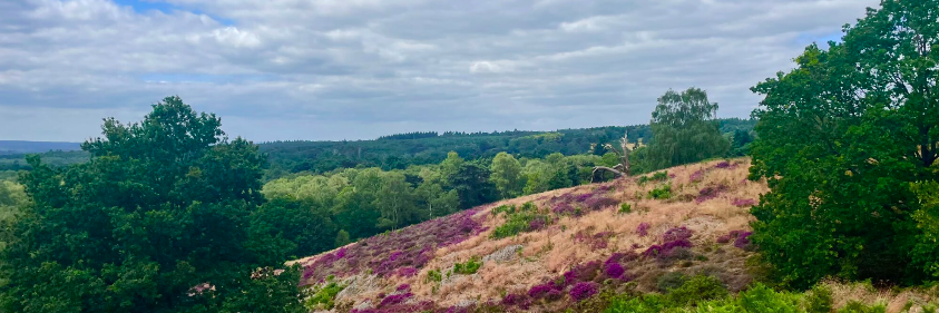 Friday Hike – 11Km Puttenham Heath & Britty Woods Circular