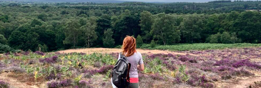 Hiking Challenge: 16 mile Surrey Three Peaks – 11th April 2026