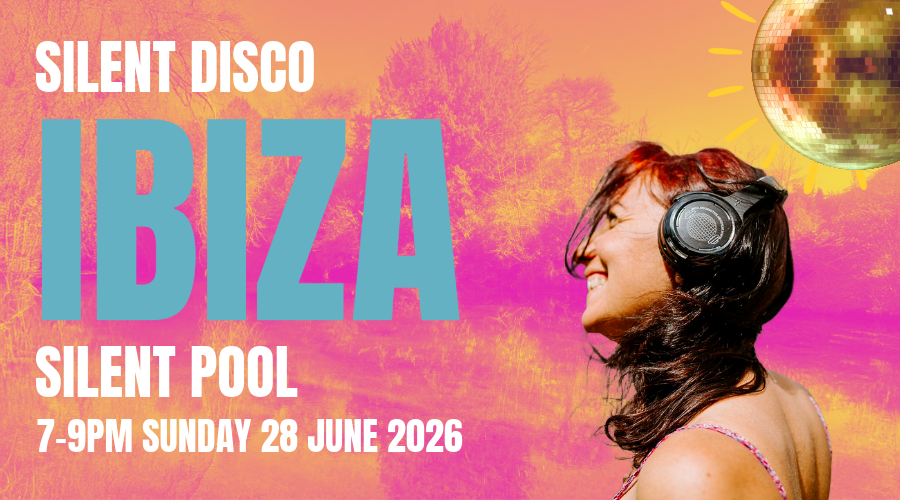 Silent Pool Silent Disco