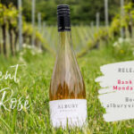 Silent Pool Rosé Release Day
