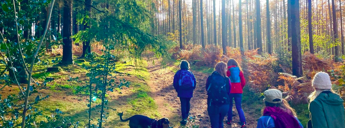 Jen’s Nature Hike –10km Peaslake and Farley Heath circular