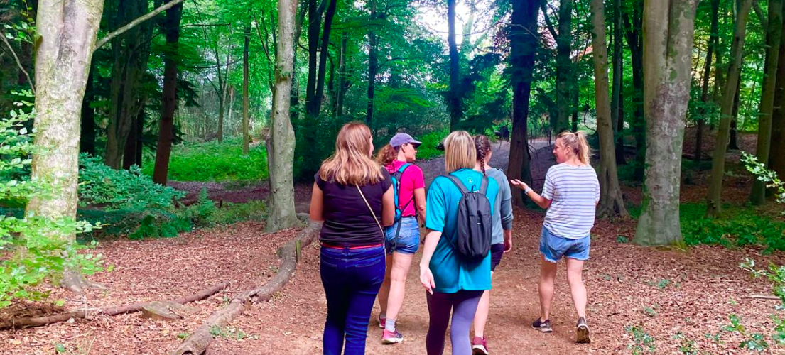 Jen’s Nature Hike – 8km Chantries Blubebells and Golden Fords Cafe