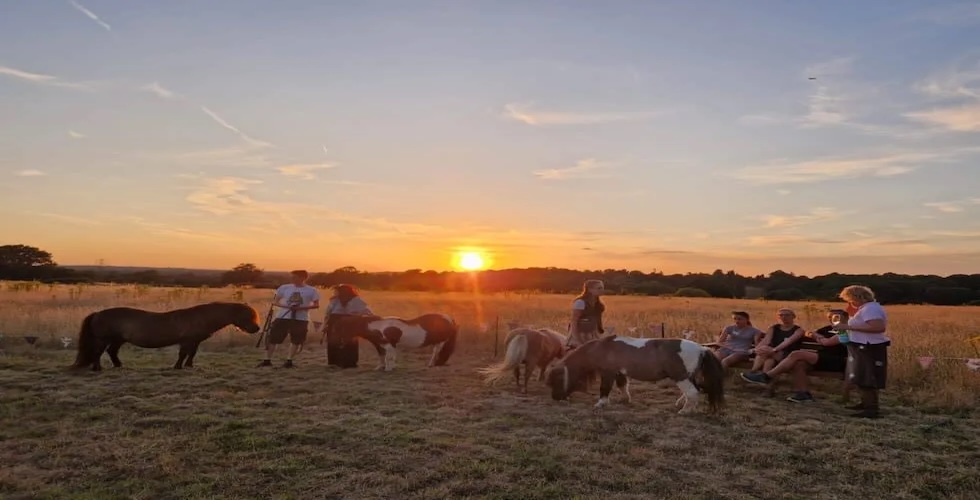 Shetland Pony Walking Experience