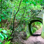 Jen’s Nature Hike – 9km Sheepleas and West Horsley Place