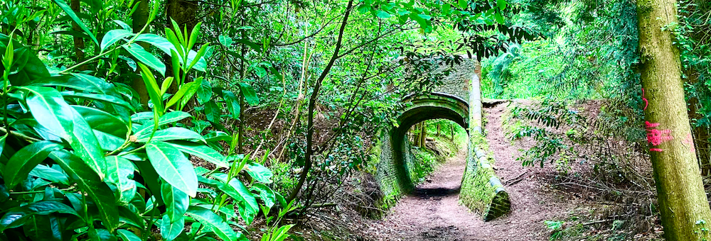 Jen’s Nature Hike – 9km Sheepleas and West Horsley Place