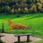 Jen’s Nature Hike – 8-10km Polesden Lacey and Ranmore