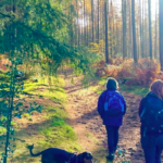 Just Hike –10km Peaslake, Farmyards and Farley Heath circular