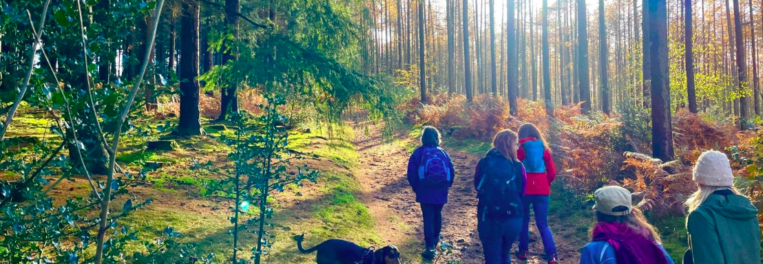 Just Hike –10km Peaslake, Farmyards and Farley Heath circular