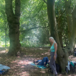 Golden Autumn Forest Bathing in the Surrey Hills