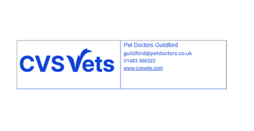 Read more about Pet Doctors Guildford