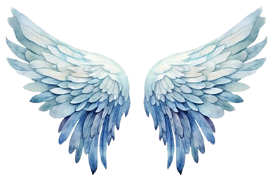 Read more about Jill Green