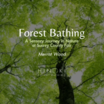 Forest Bathing Experience at Surrey County Fair