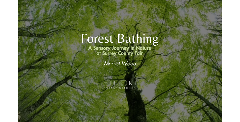 Forest Bathing Experience at Surrey County Fair