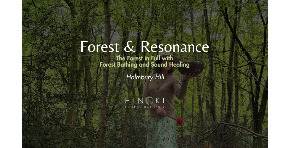 The Forest in Full: A Forest Bathing and Sound Bath Journey