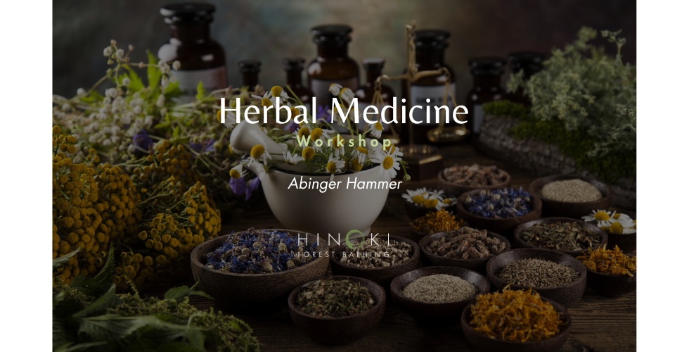 Herbal Medicine Workshop