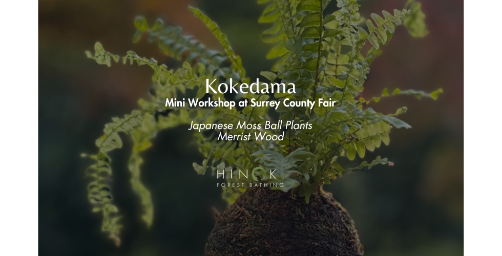 Mini Kokedama Workshop at Surrey County Fair