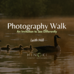 An Invitation to See Differently: Nature Photography Walk