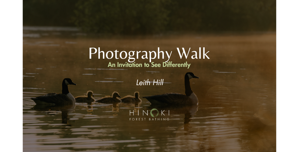 An Invitation to See Differently: Nature Photography Walk