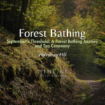 September's Threshold: A Forest Bathing Journey
