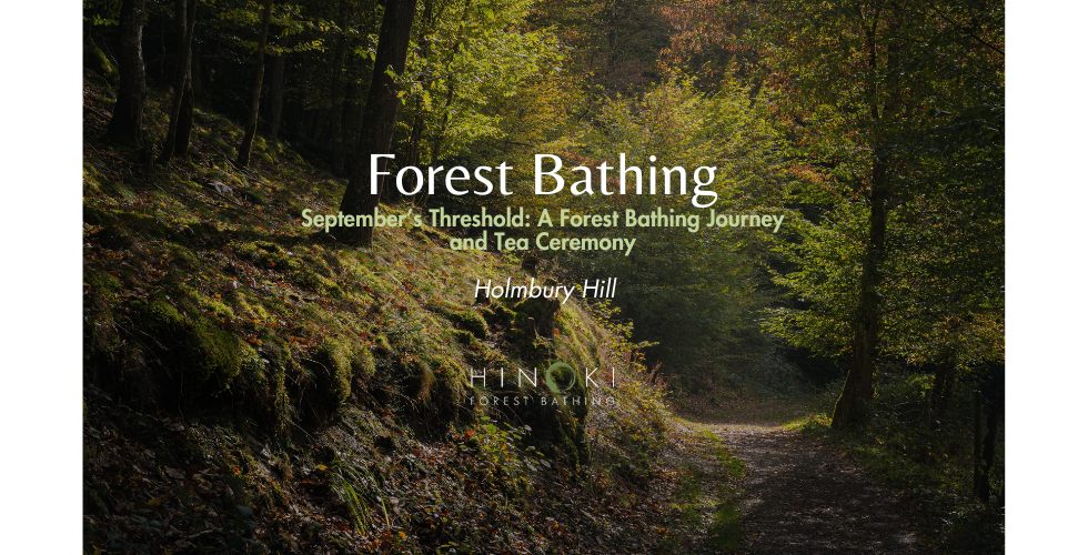 September's Threshold: A Forest Bathing Journey