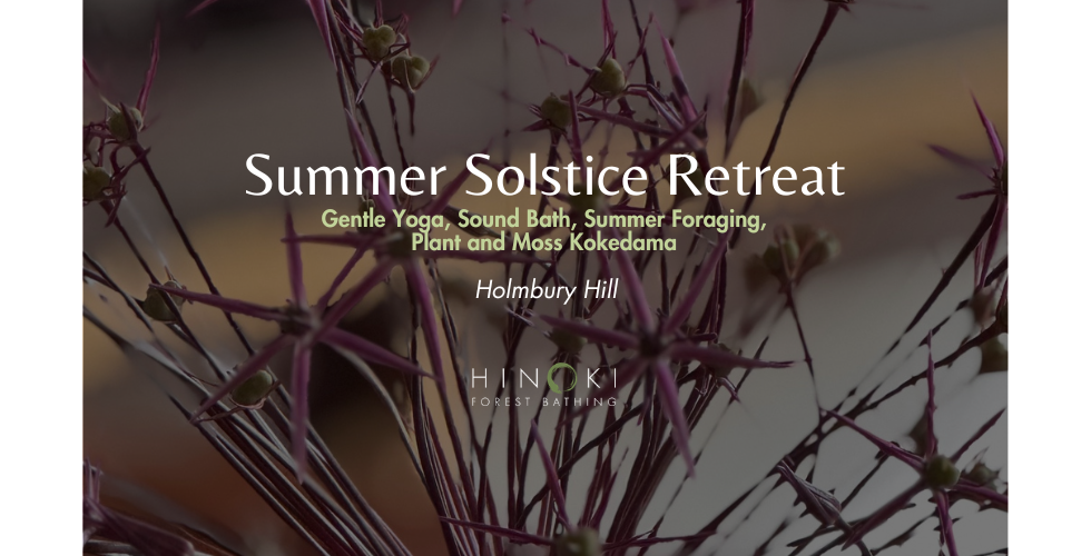 Summer Solstice Retreat