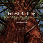 Summer's Embrace: A Forest Bathing Journey