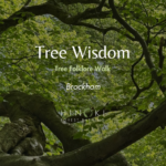 Walking with the Wisdom of Trees