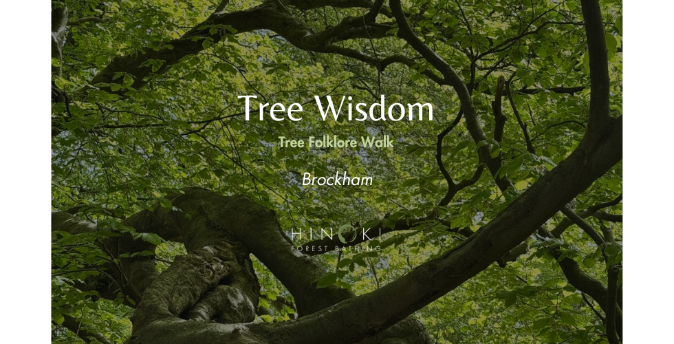 Walking with the Wisdom of Trees