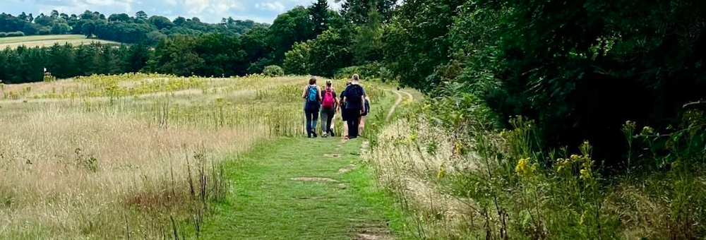 Just Hike: North Downs Way – 18km linear Walk – Farnham to Guildford