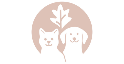 Read more about Surrey Family Vets